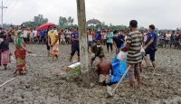 বিদ্যুতের খুঁটির সাথে পেঁচিয়ে পুঁতে রাখা...